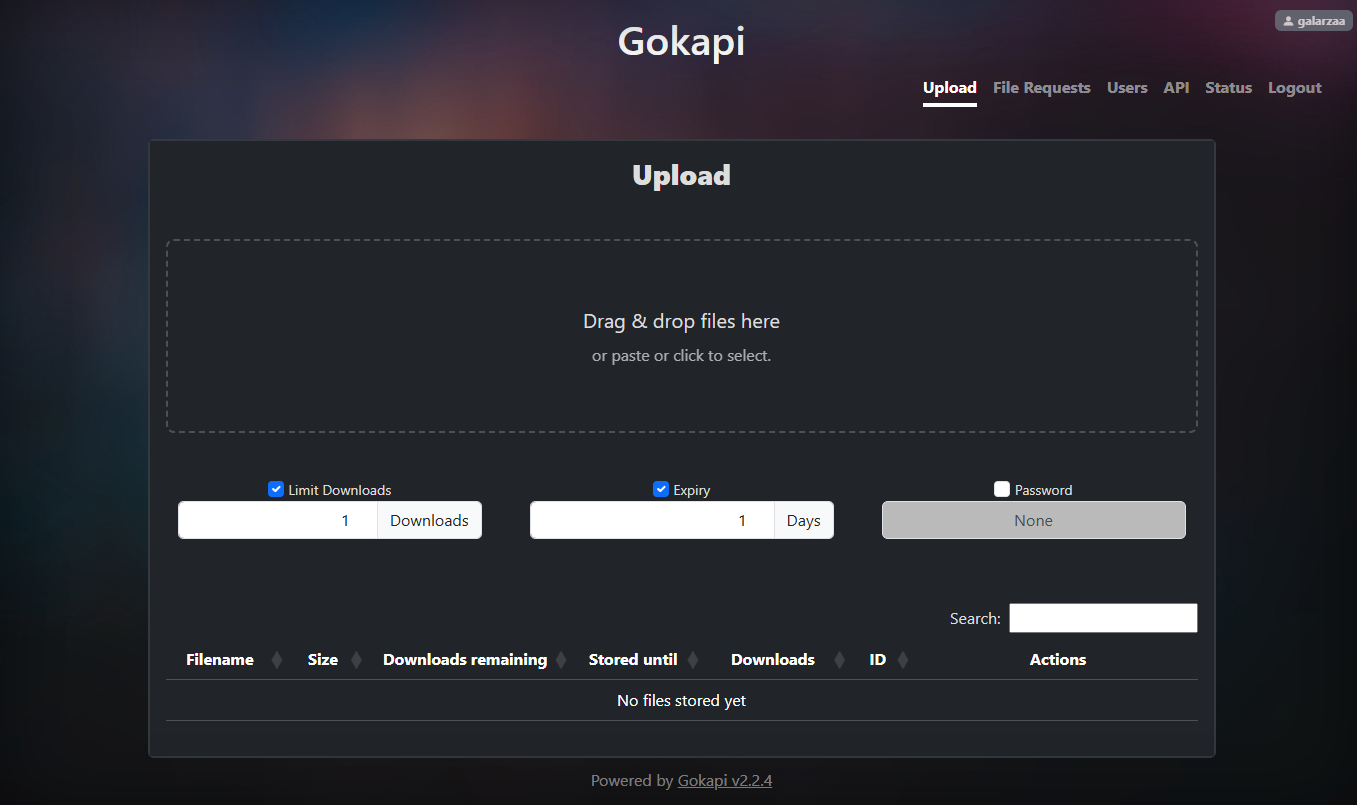Gokapi Upload UI